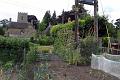 Allotments 3